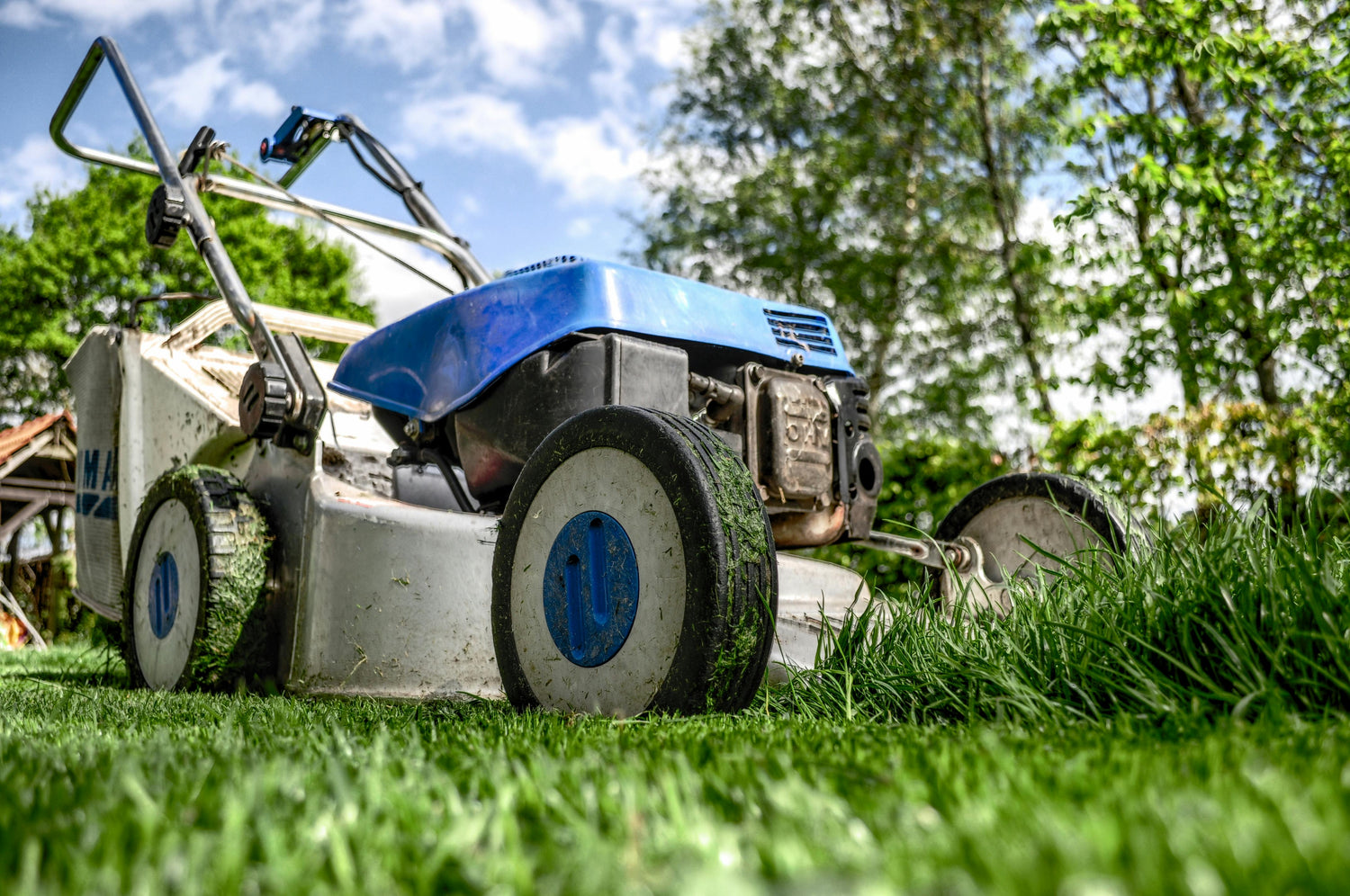 Lawn Mowers